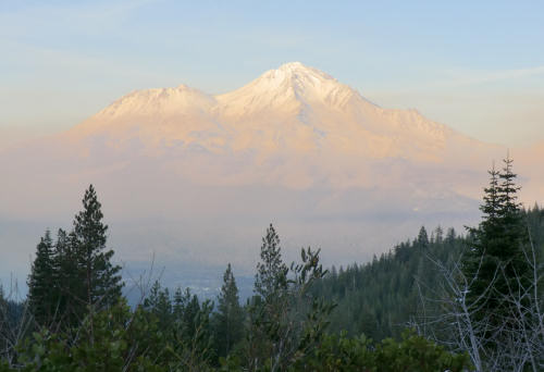 Mt Shasta Nov 2011. Copyright  Susan Ann Palmer